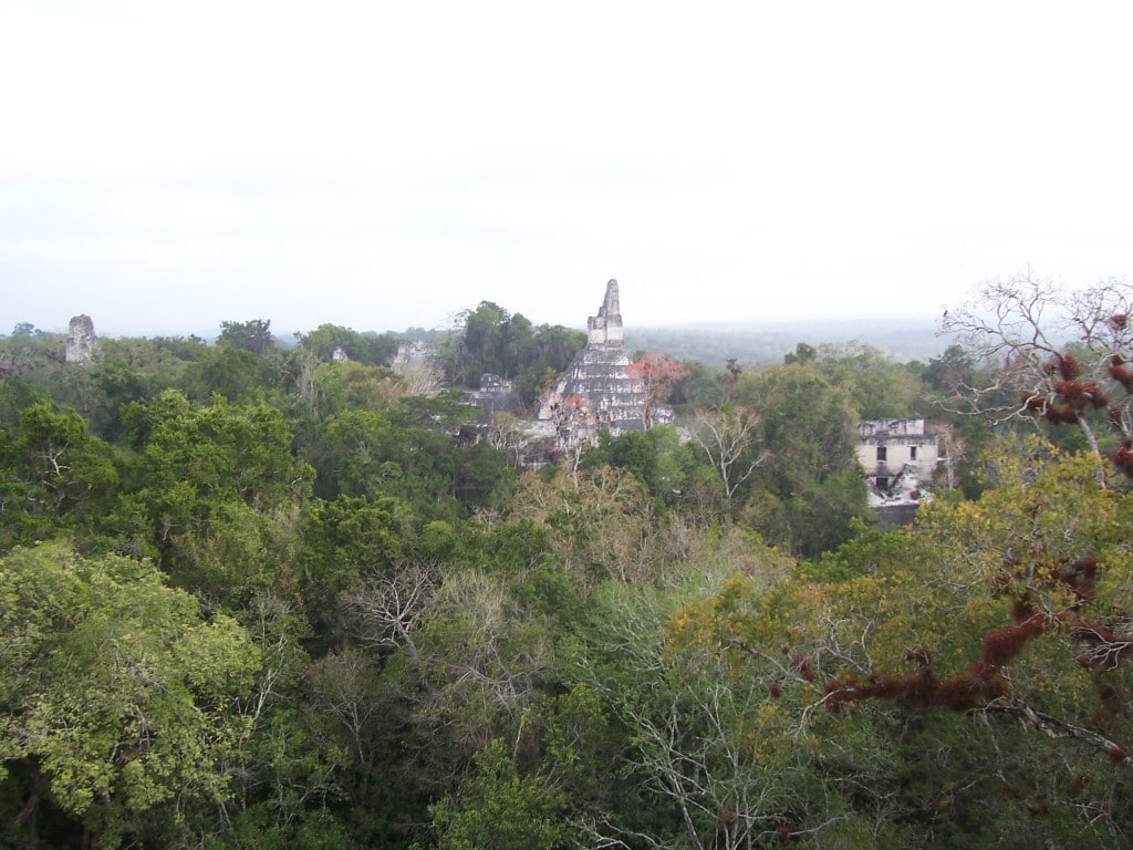 Tikal Ruins Tikal Ruins, Guatemala, Central America, view, pyramids