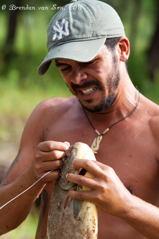piranha, fishing, pantanal, brazil