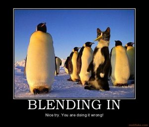 Blending in