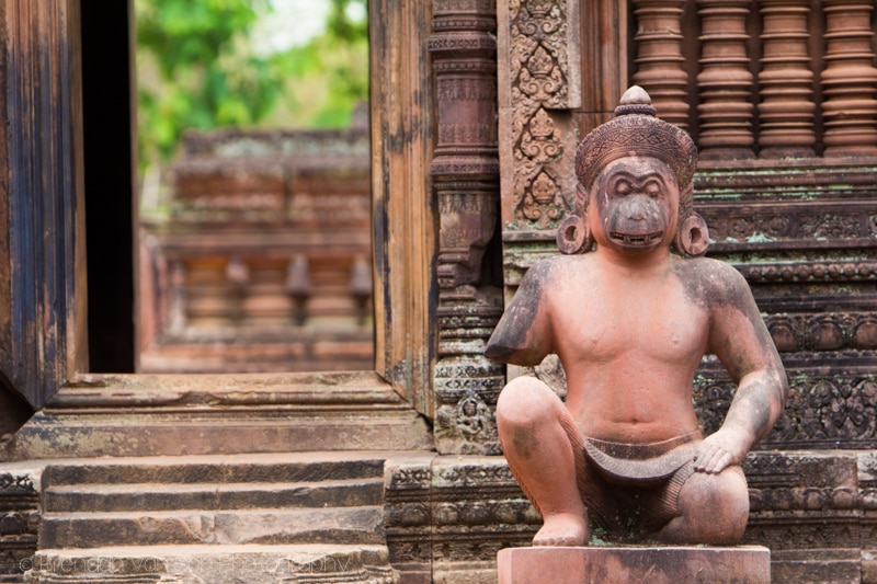 Monkey Temple, Angkor Wat