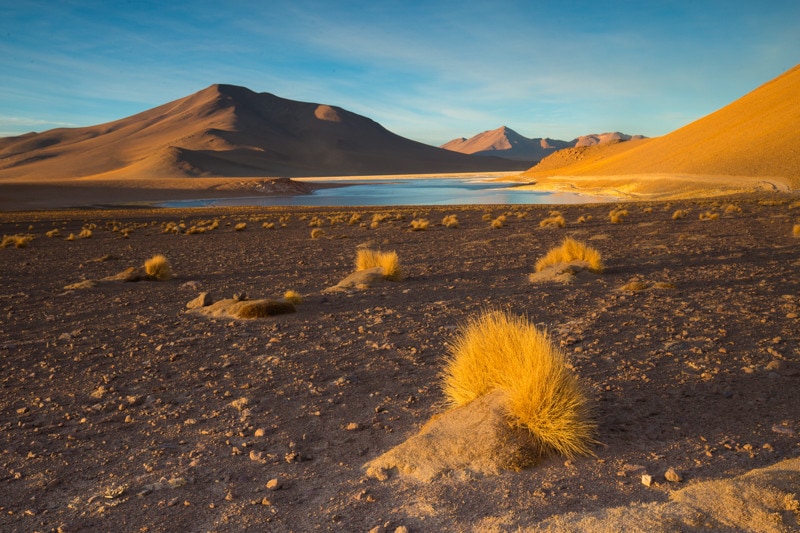 Bolviian Altiplano