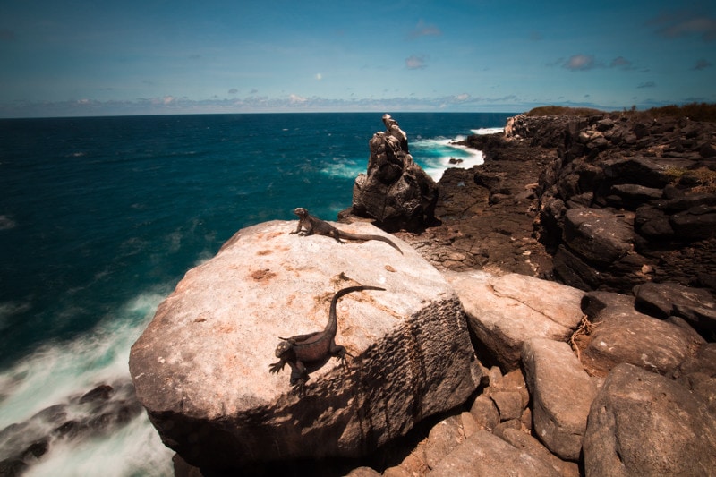 Suarez Point, Galapagos Islands