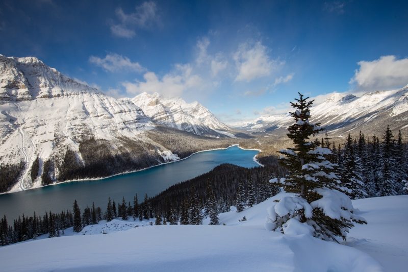 Icefields parkway winter