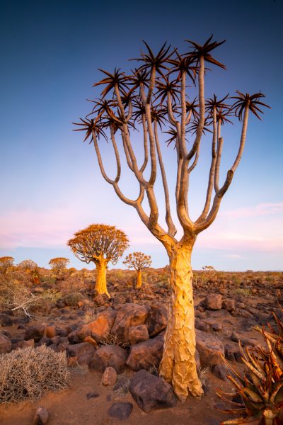 Namibia Photography