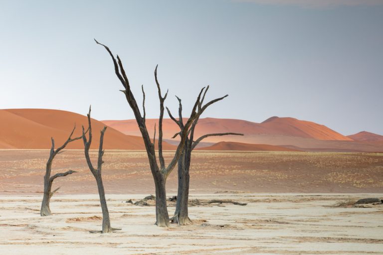 deadvlei, Namibia